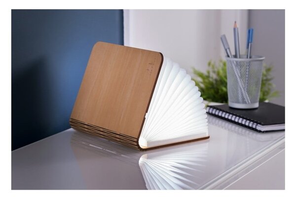 Decorazione luminosa di colore naturale con ricarica USB Booklight – Gingko