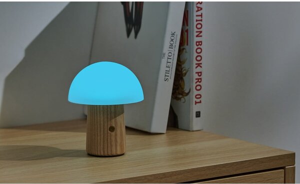 Lampada da tavolo dimmerabile in colore naturale con paralume in vetro (altezza 13 cm) Alice - Gingko