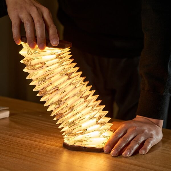 Decorazione luminosa marrone scuro con ricarica USB Velvet Accordion – Gingko