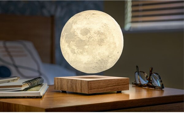 Decorazione luminosa marrone con alimentazione a corrente ø 12 cm Moon – Gingko