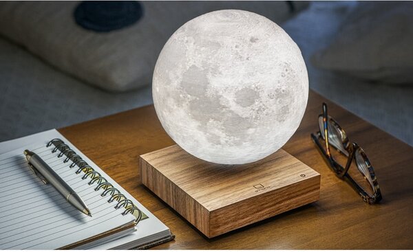 Decorazione luminosa marrone con alimentazione a corrente ø 12 cm Moon – Gingko