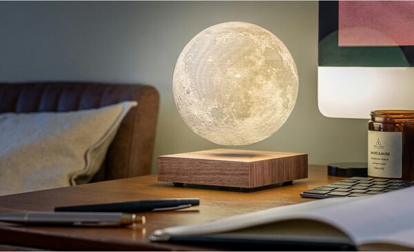 Decorazione luminosa marrone con alimentazione a corrente ø 12 cm Moon – Gingko