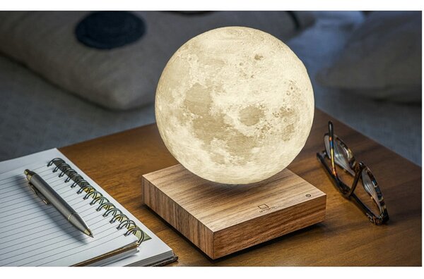 Decorazione luminosa marrone con alimentazione a corrente ø 12 cm Moon – Gingko