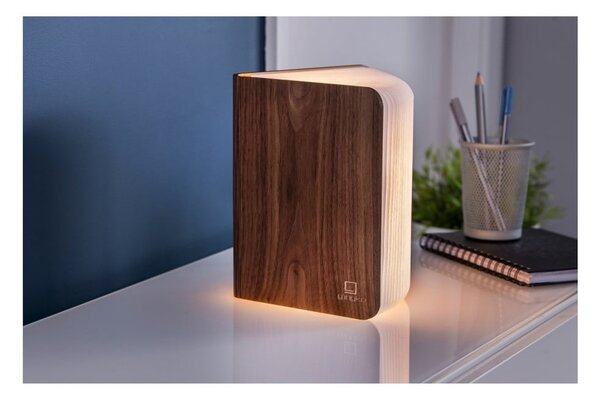Decorazione luminosa marrone con ricarica USB Booklight – Gingko