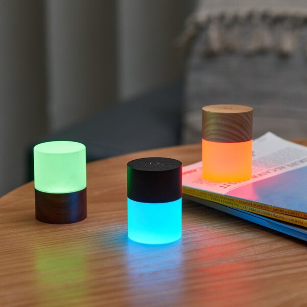 Decorazione luminosa di colore naturale con ricarica USB ø 4,5 cm Lemelia – Gingko