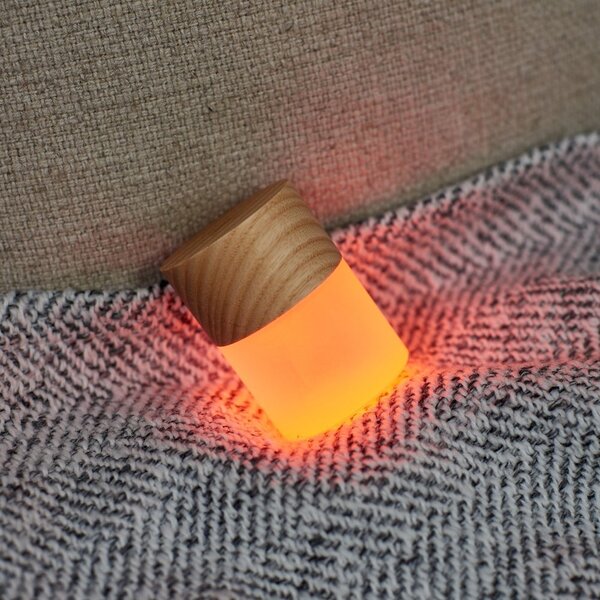 Decorazione luminosa di colore naturale con ricarica USB ø 4,5 cm Lemelia – Gingko