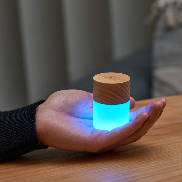 Decorazione luminosa di colore naturale con ricarica USB ø 4,5 cm Lemelia – Gingko