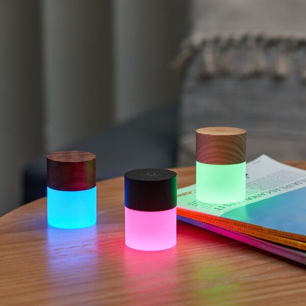Decorazione luminosa di colore naturale con ricarica USB ø 4,5 cm Lemelia – Gingko