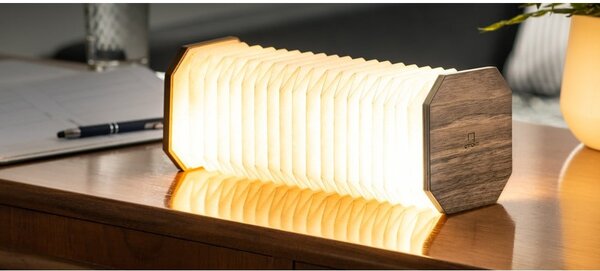Decorazione luminosa marrone con ricarica USB Accordion – Gingko