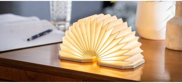 Decorazione luminosa marrone con ricarica USB Accordion – Gingko