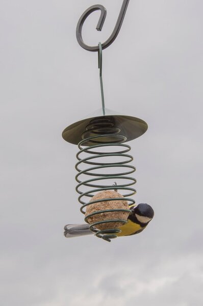 Mangiatoia per uccelli - Esschert Design
