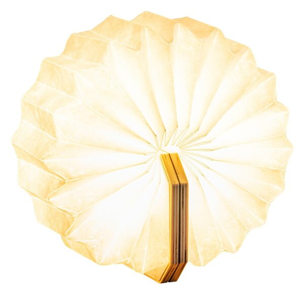 Decorazione luminosa di colore naturale con ricarica USB Accordion – Gingko