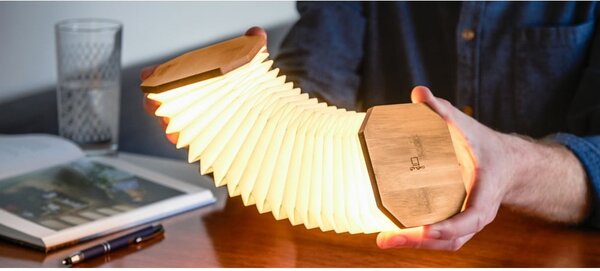 Decorazione luminosa di colore naturale con ricarica USB Accordion – Gingko