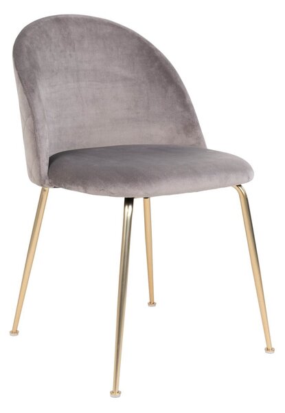 Set di 2 sedie da pranzo in velluto grigio chiaro Geneve - House Nordic