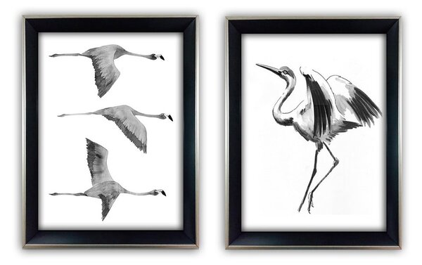 Set di dipinti 2 pz 35x45 cm Crane – Wallity