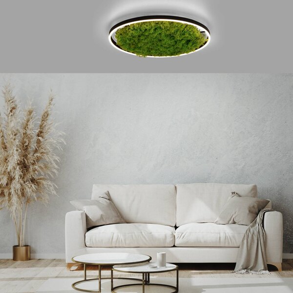 JUST LIGHT. Plafoniera LED Green Ritus muschio dimming Ø58,5cm