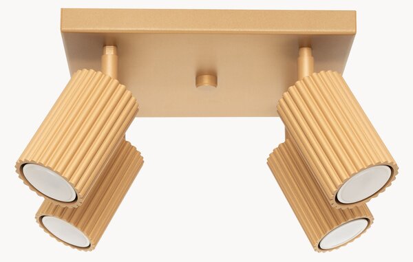 Faretti da soffitto piccoli Gleam