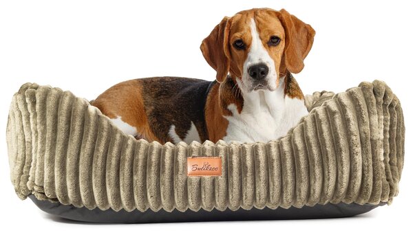 Lettino per cani Boutique ZOO XS 62x55 cm | Divano morbido per cani con cuscino | Lavabile e antiscivolo | Look scamosciato verde oliva