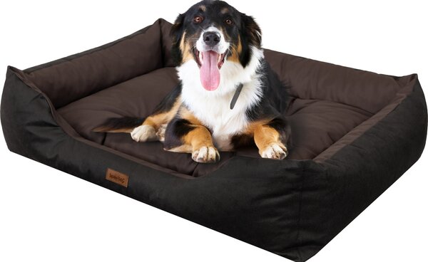 Letto per cani "Puffy" - XL: 92x73 cm | letto per cani, divano per cani, cesto per cani, materasso per cani, divano per cani | Doggy