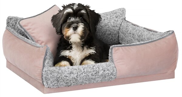 Letto per cani "Porto" - 55x40 cm - Materasso per animali domestici, letto per gatti, cuscino per cani | Cestino per cani con cuscino, antiscivolo e lavabile | PillowPrim