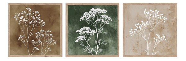Set di dipinti 3 pz 30x30 cm Floral Imprint – Styler