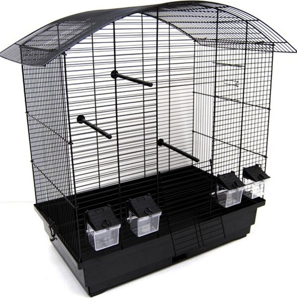 Gabbia per uccelli Gabbia per budgerigar Gabbia per canarini Exotics nero