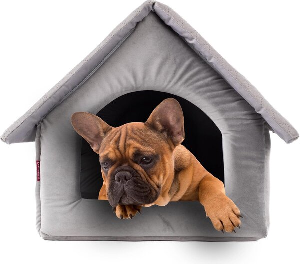 Elegante grotta per cani, cuccia per cani | dimensioni XL: 44 x 55 x 43 cm | colore: velluto grigio | casa per cani di taglia media e grande | casa per gatti, grotta per gatti