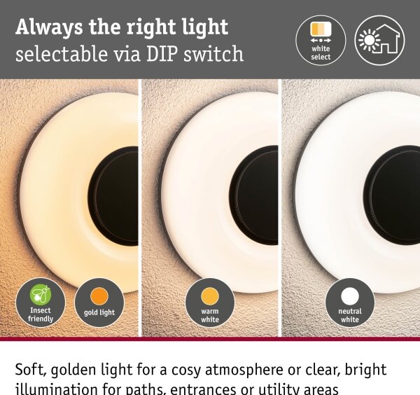 Paulmann 94955 - LED/20,5W IP65 dimmerabile lampada da parete per esterni AUREVA 230V