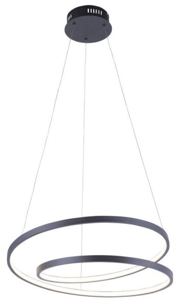 Paul Neuhaus 2472-18 - Lampadario LED dimmerabile su filo ROMAN LED/30W/230V nero