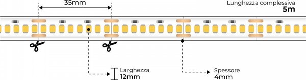 Striscia LED Professional 2835/224 - IP67 - 25W/m - 2.900lm/m- 5m - 24V Colore Bianco Freddo 6.000K