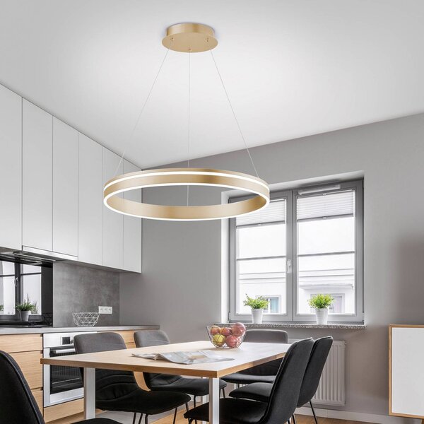 Q-Smart-Home Paul Neuhaus Q-VITO LED a sospensione, 1 anello Q-Vito, dimmerabile, Ottone / Oro, Soggiorno / Sala da pranzo, Metallo, Moderno