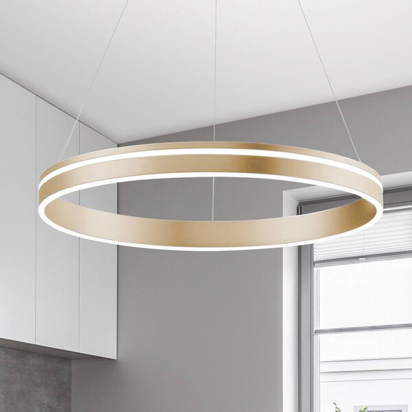 Q-Smart-Home Paul Neuhaus Q-VITO LED a sospensione, 1 anello Q-Vito, dimmerabile, Ottone / Oro, Soggiorno / Sala da pranzo, Metallo, Moderno