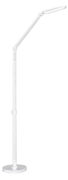 Lampada da terra touch LED dimmerabile FERRARA LED/13W/230V 3000/4000/6000K bianco