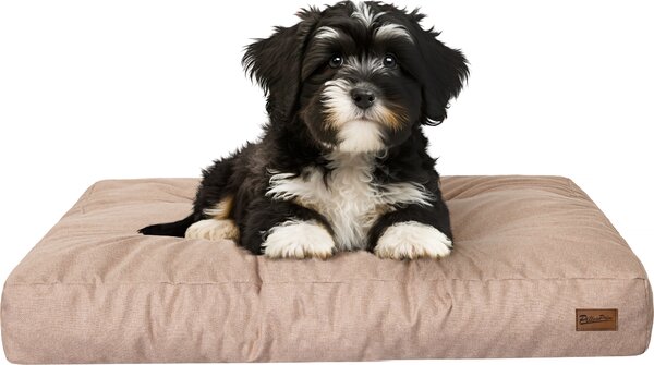 Materasso per cani "Grand Light" - 75x50cm - Cuccia idrorepellente - Rettangolare - Outdoor & Indoor | PillowPrim