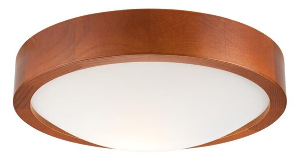 Lampada da soffitto 1xE27/60W/230V