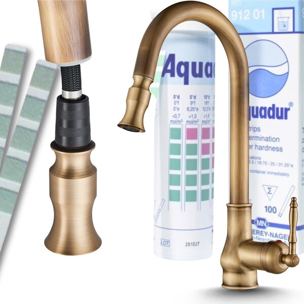 Rubinetto da cucina Ari Bloom con doccetta estraibile, beccuccio girevole a 360 gradi, cartuccia Vetroceramica, ottone, colore brass