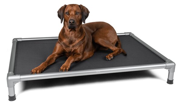 TrendPet HighBed letto alto per cani grigio (125x90x18cm)