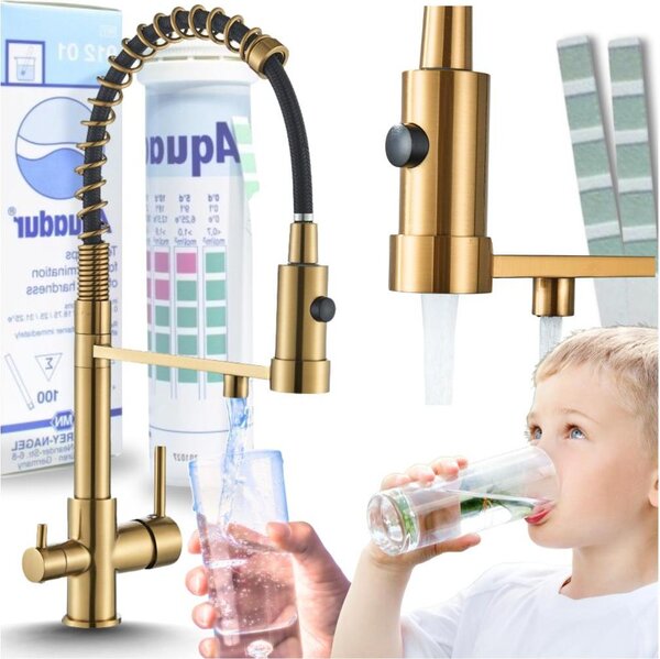 Rubinetto da cucina a 3 vie Ari Solid Spring con doccetta estraibile, beccuccio girevole 360 gradi, collegamento filtro acqua, oro spazzolato