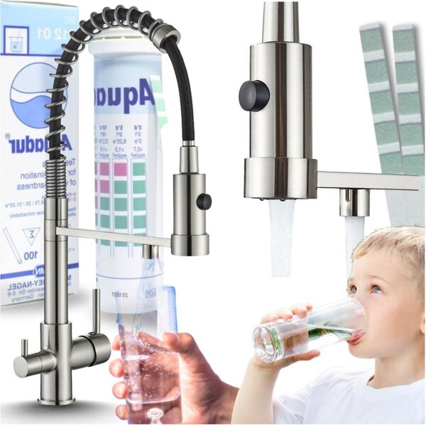 Rubinetto da cucina a 3 vie Ari Solid Spring con doccetta estraibile e due beccucci, acciaio inox, attacco per filtro acqua