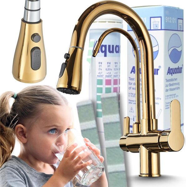 Rubinetto da cucina a 3 vie Ari Nordic con doccetta estraibile, per filtro acqua, beccuccio girevole 360 gradi, oro lucido