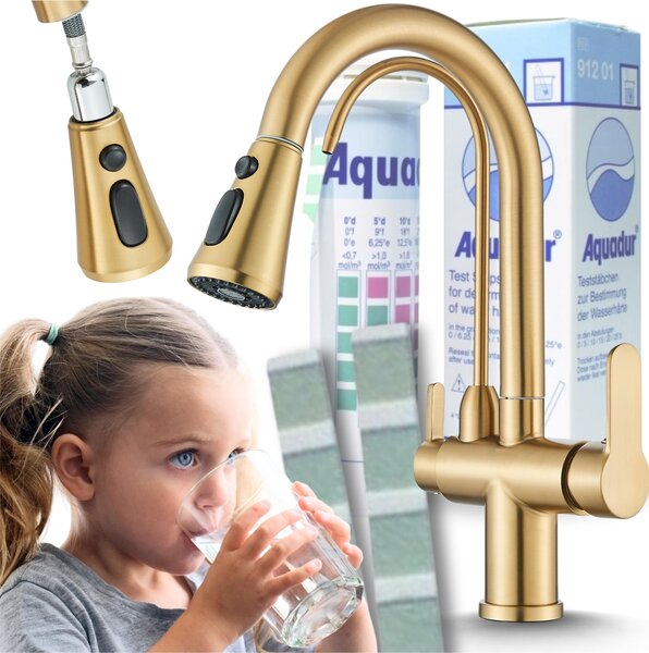 Rubinetto da cucina a 3 vie Ari Nordic con doccetta estraibile, beccuccio girevole 360 gradi, collegamento per filtro acqua, oro spazzolato