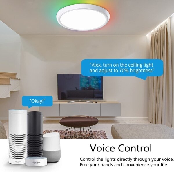 Immax NEO 07164-40- LED RGB+CCT Lampada dimmerabile 50W/230V Wi-Fi Tuya+TC