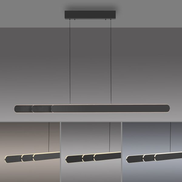Schöner Wohnen 12577-18 - Lampadario LED dimmerabile su cavo ADRIANA 2xLED/24W/230V nero