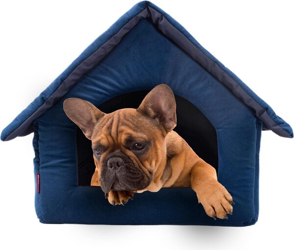 Elegante grotta per cani, cuccia per cani | dimensioni XL: 44 x 55 x 43 cm | colore: velluto blu | casa per cani di taglia media e grande | casa per gatti, grotta per gatti