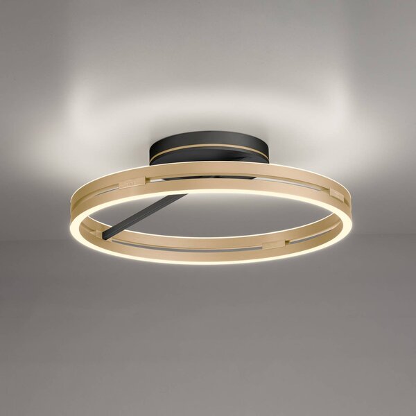 PURE Plafoniera a LED Loop, dimmerabile, Ottone / Oro, Soggiorno / Sala da pranzo, Alluminio, Moderno, Plafoniera LED