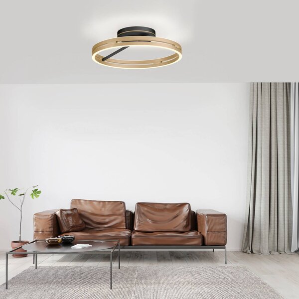 PURE Plafoniera a LED Loop, dimmerabile, Ottone / Oro, Soggiorno / Sala da pranzo, Alluminio, Moderno, Plafoniera LED