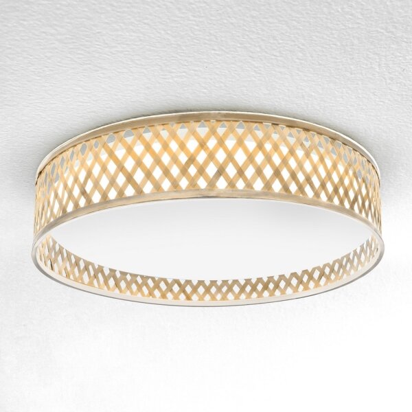 Brilagi - Plafoniera LED dimmerabile CAMILA 48W 230V 3000-6500K + DO