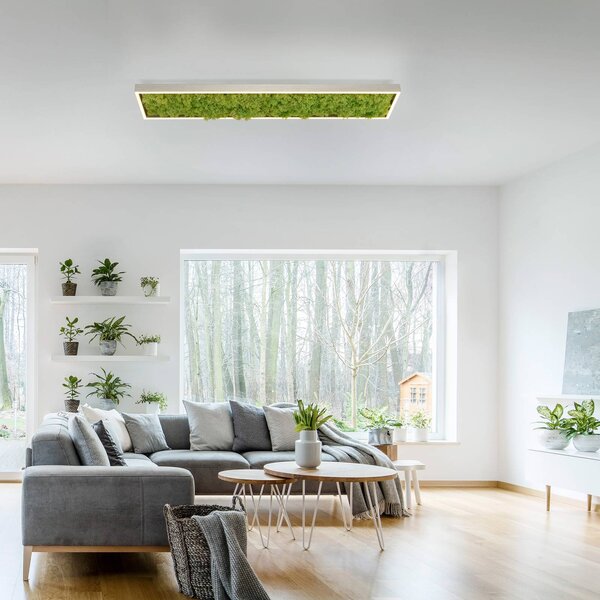 JUST LIGHT. GmbH Plafoniera a LED Green Knut, dimmerabile, Verde, Soggiorno / Sala da pranzo, Moderno, Plafoniera LED