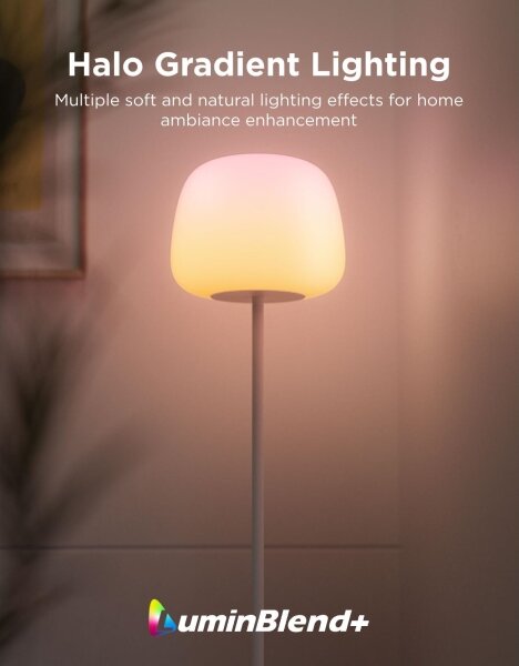 Govee - LED RGBICWW Dimmerabile lampada da terra LANTERN MATTER LED/24W/230V Wi-Fi 160 cm