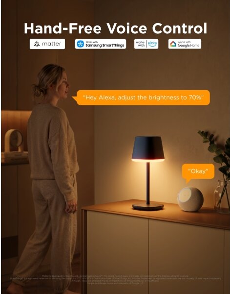 Govee - LED RGBICWW Lampada da tavolo dimmerabile CLASSIC MATTER LED/10W/5V Wi-Fi